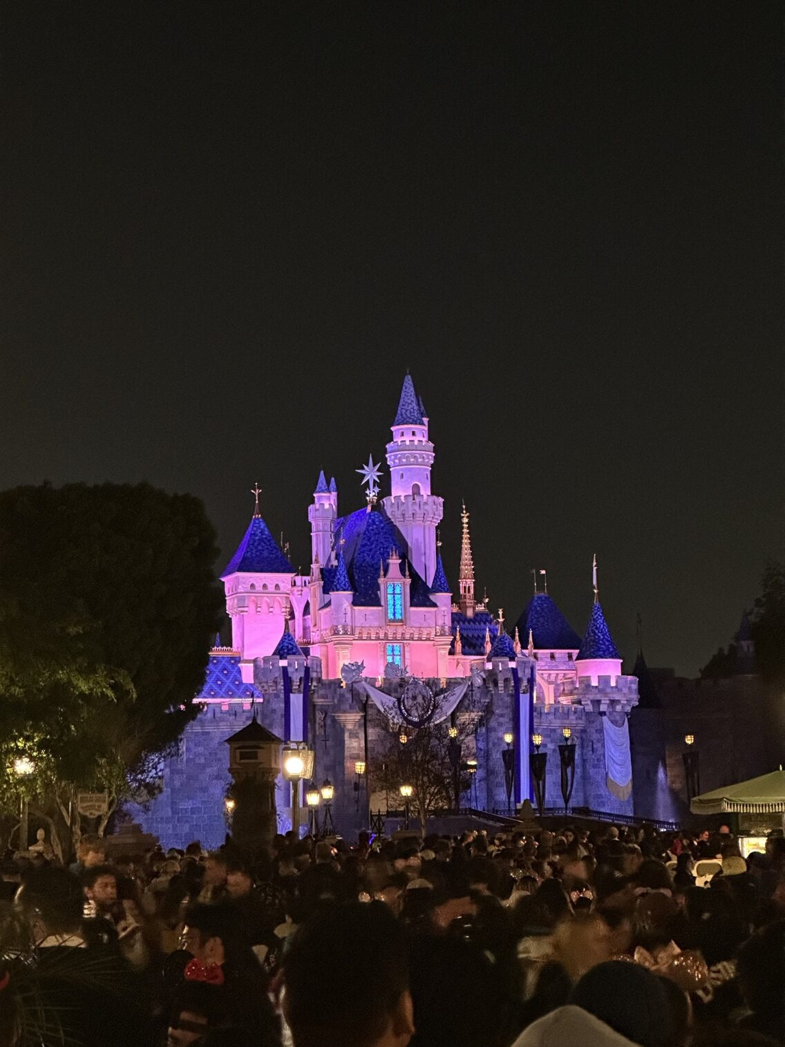 Our Annual Holiday Magic: A Family Trip to Disneyland