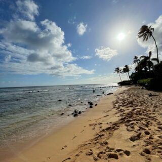 Training for…treeathalon