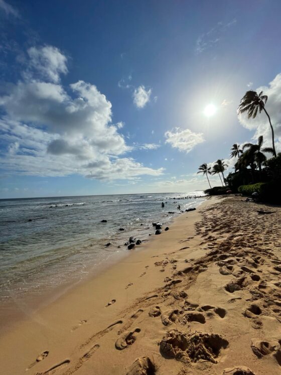 Family Vacation in Kauai: Choosing Between Poipu and Princeville